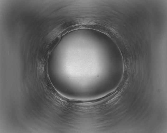 X0000056011257200508191252