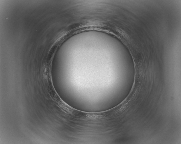 X0000056011258200508191252