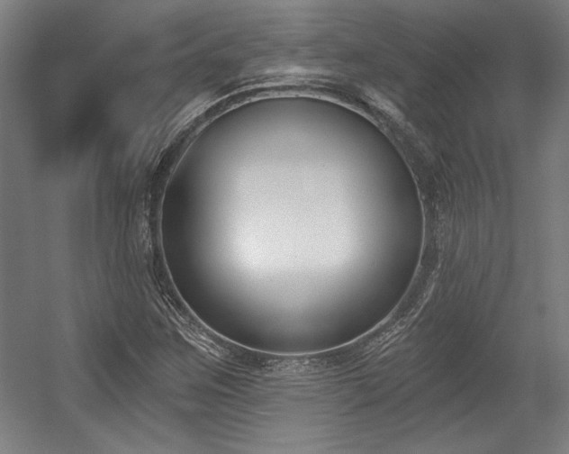 X0000056011259200508191252