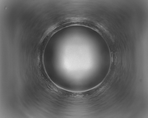 X0000056011261200508191252