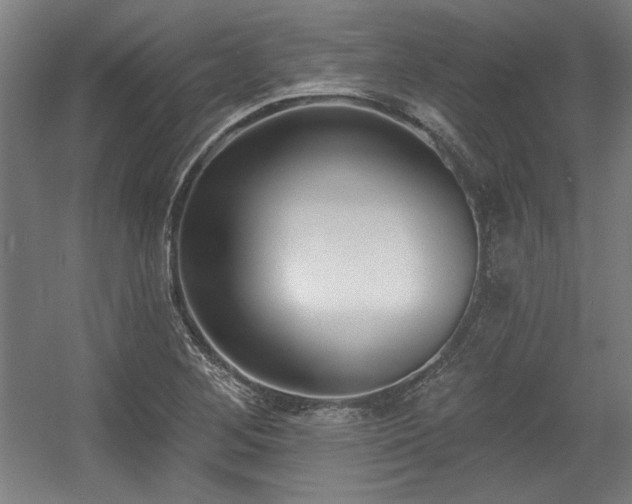 X0000056011268200508191252