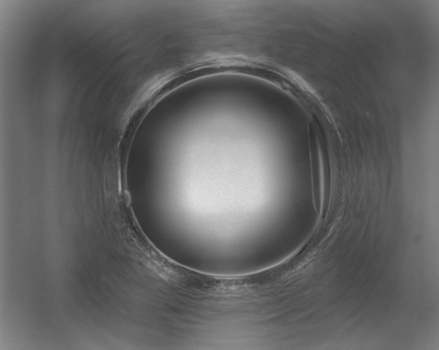 X0000056011269200508191252