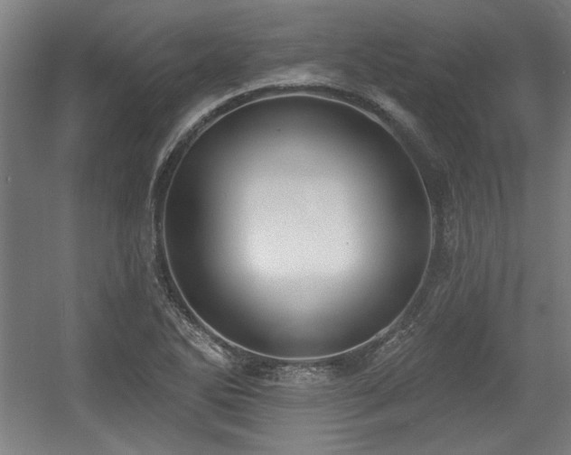 X0000056011270200508191252