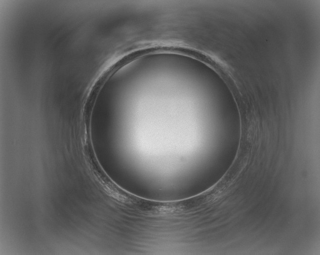 X0000056011271200508191252