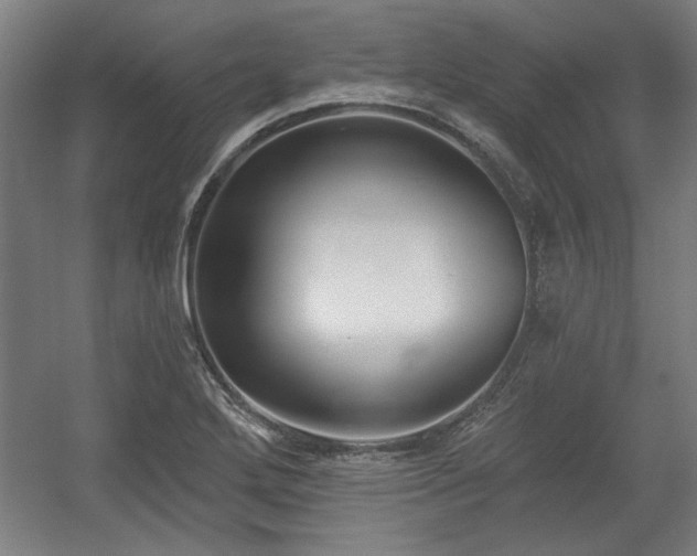 X0000056011272200508191252