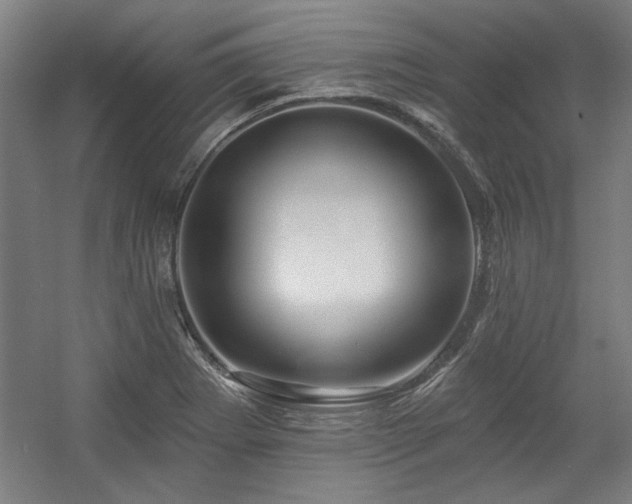 X0000056011273200508191252