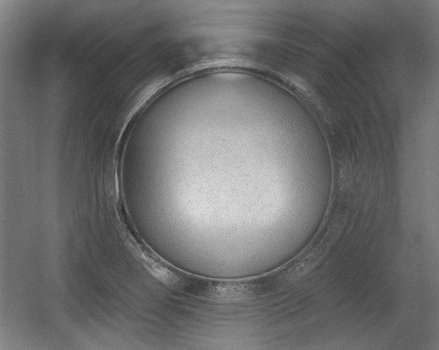 X0000056011274200508191252