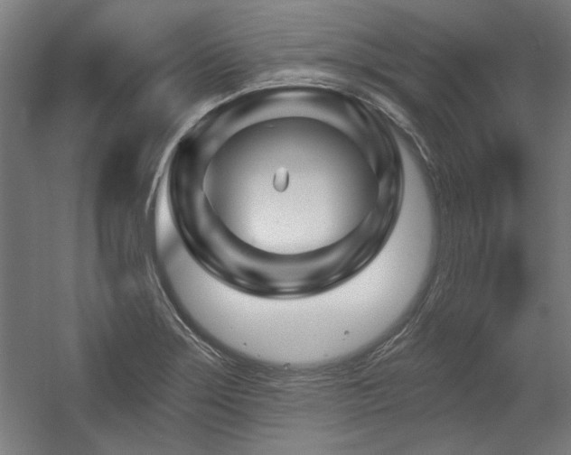 X0000056011275200508191251