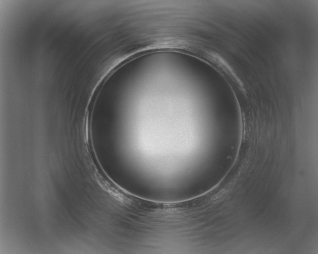 X0000056011276200508191251