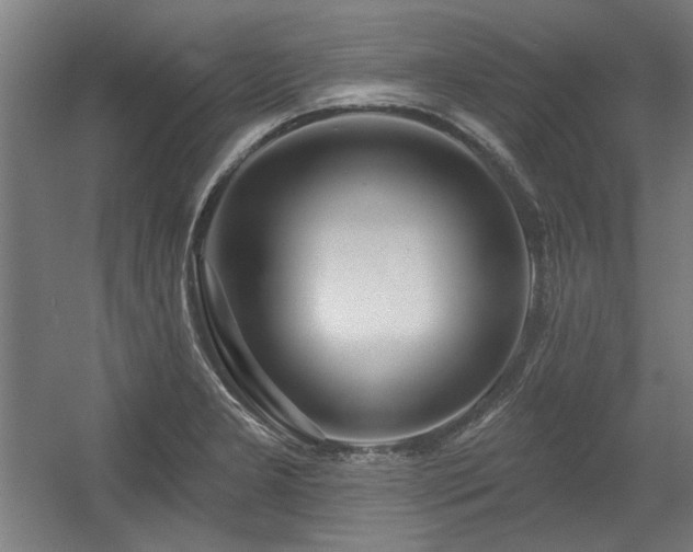X0000056011277200508191251