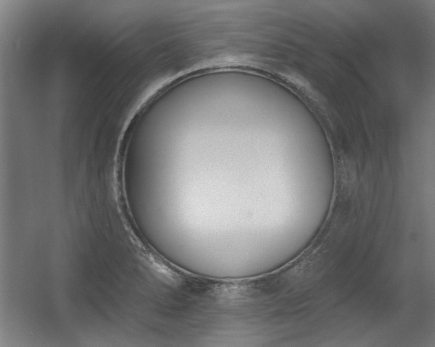 X0000056011278200508191251