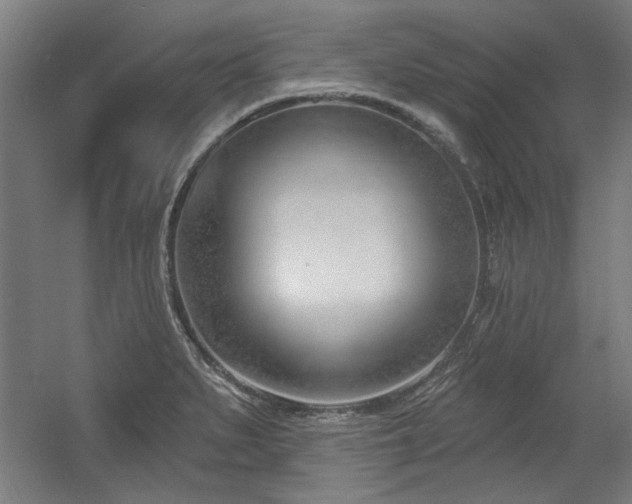 X0000056011279200508191251