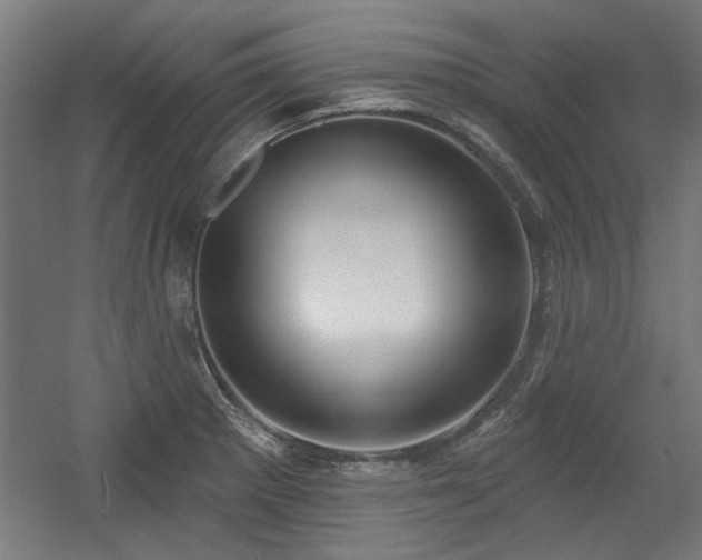 X0000056011281200508191251