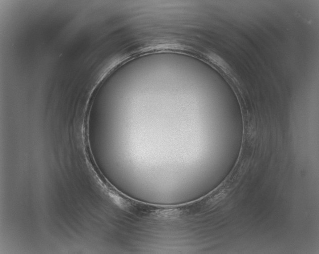 X0000056011282200508191251