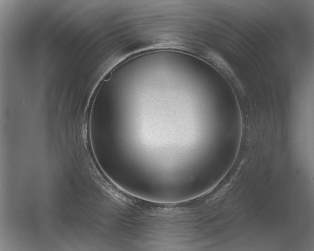 X0000056011284200508191251