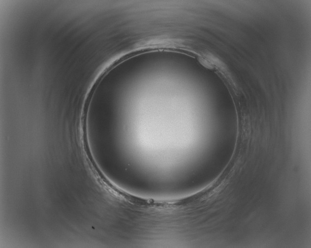 X0000056011288200508191251