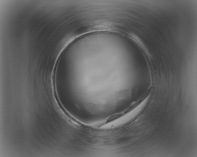 X0000056011291200508191251