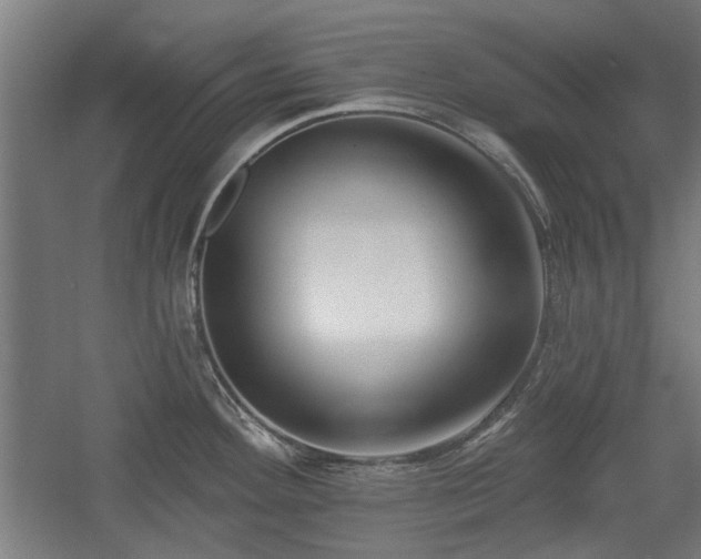 X0000056011292200508191251