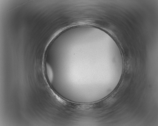 X0000056011294200508191251