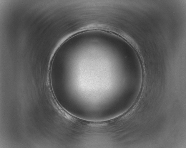 X0000056011296200508191251