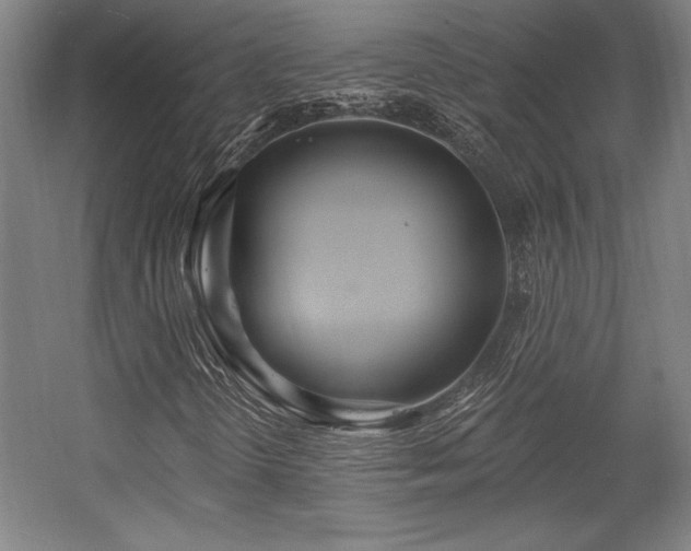 X0000056011298200508191250