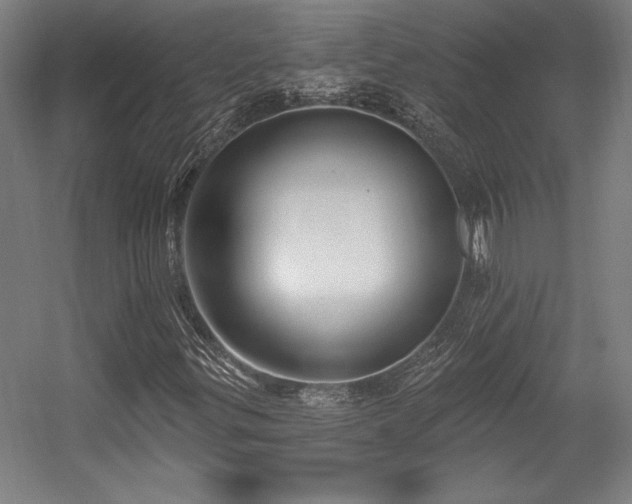 X0000056011299200508191250