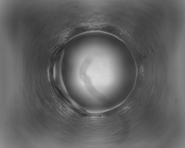 X0000056011300200508191250