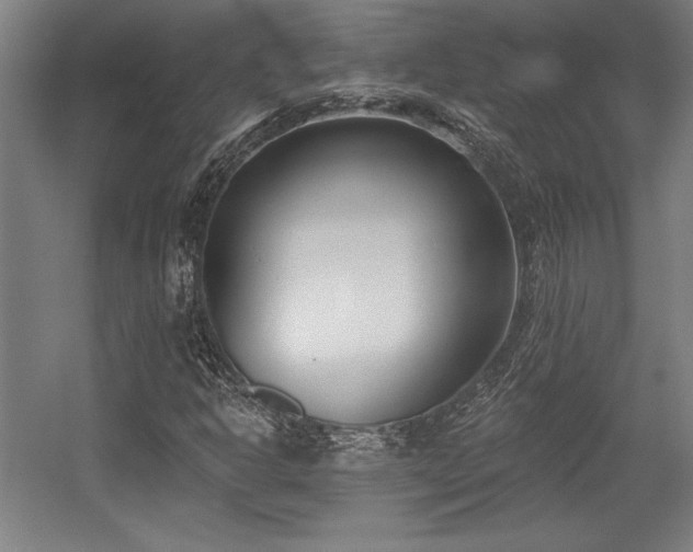 X0000056011302200508191250