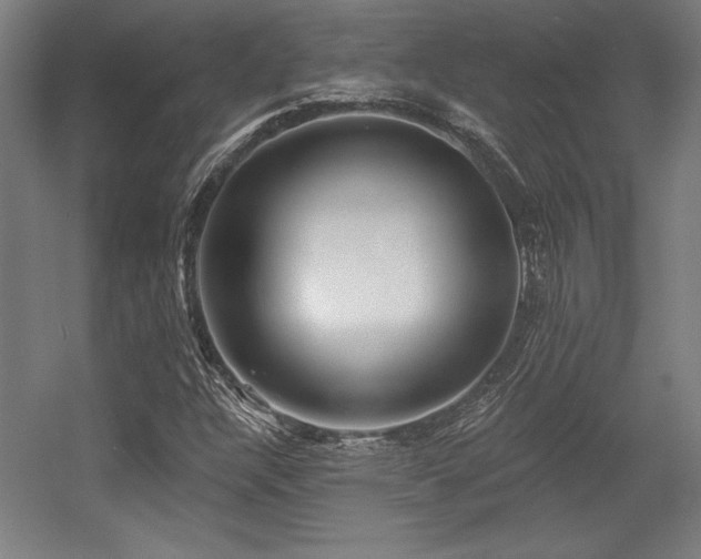 X0000056011304200508191250