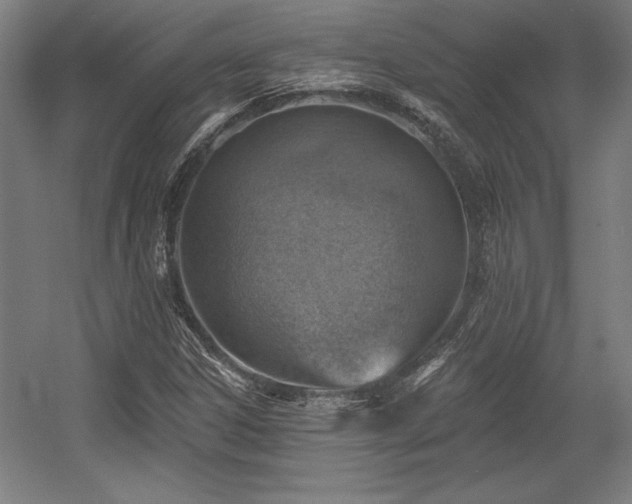 X0000056011306200508191250