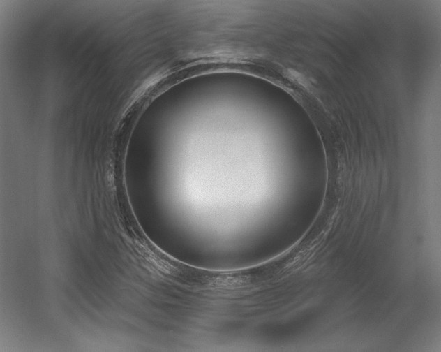 X0000056011307200508191250