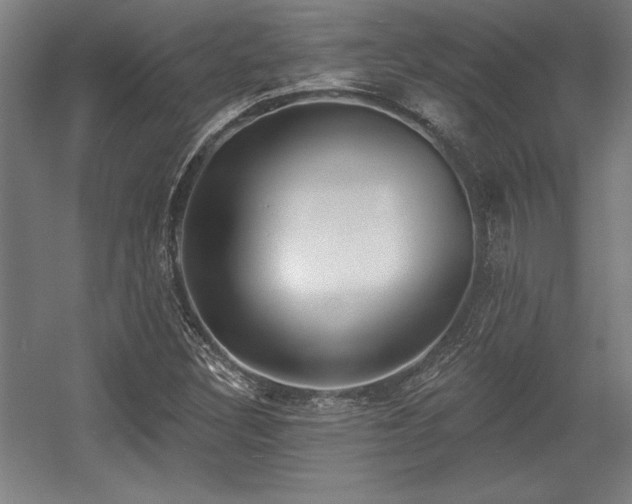 X0000056011308200508191250