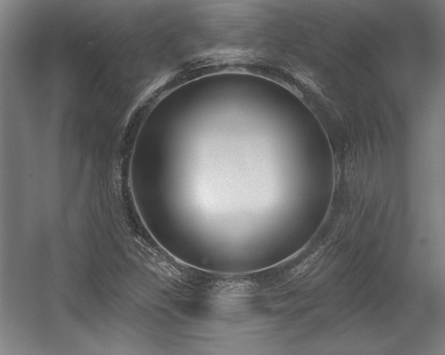 X0000056011309200508191251