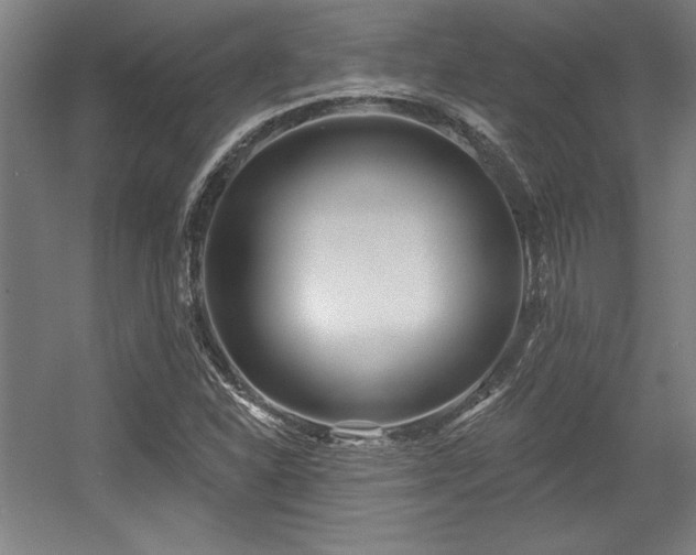 X0000056011310200508191251