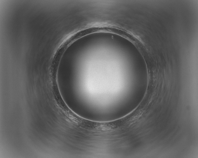 X0000056011311200508191251