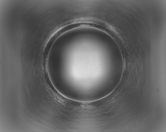 X0000056011312200508191251