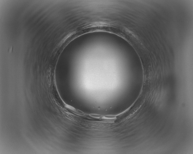 X0000056011313200508191251