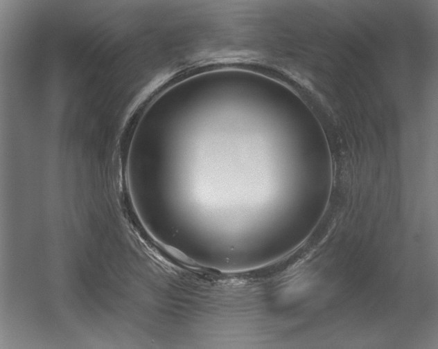 X0000056011317200508191251