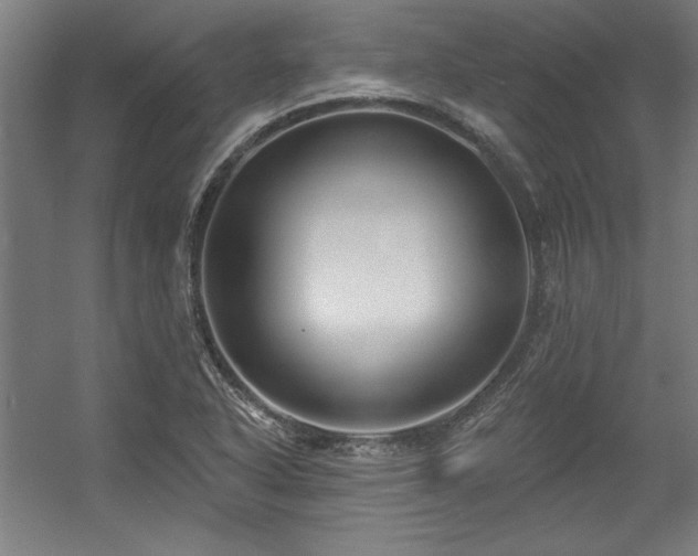 X0000056011318200508191251
