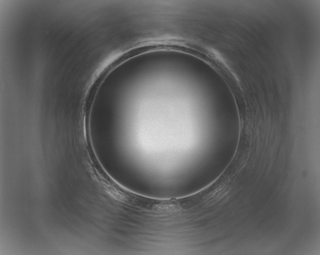 X0000056011320200508191251