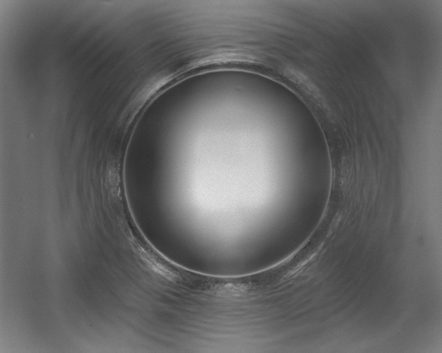 X0000056011321200508191251