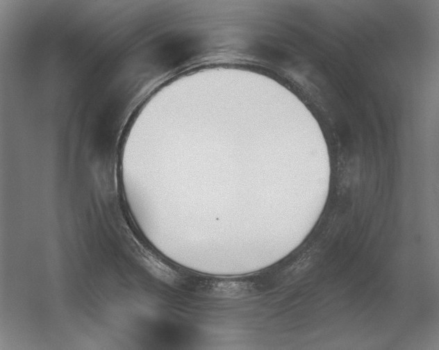 X0000056011322200508191251