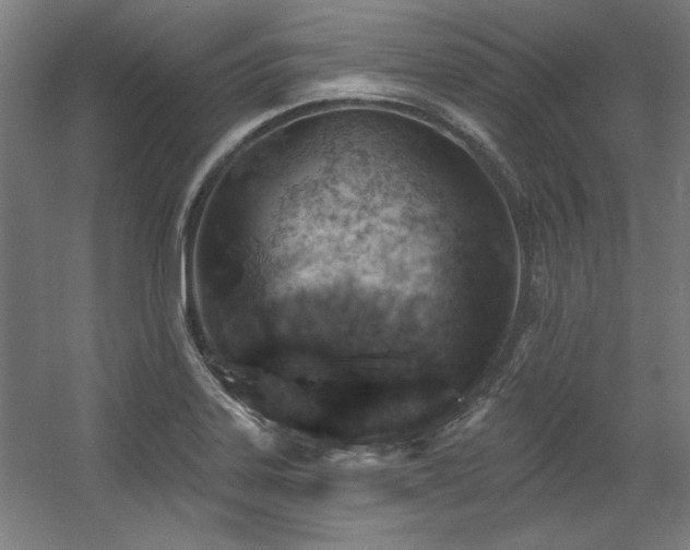 X0000056011323200508191251