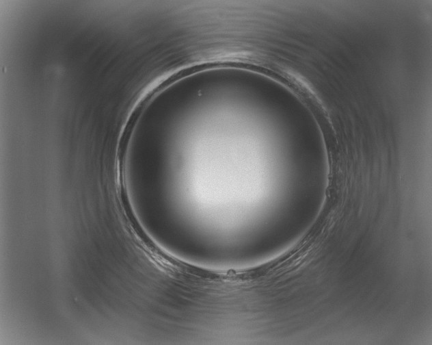 X0000056011324200508191251