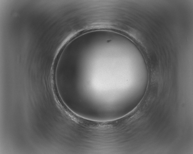 X0000056011325200508191251