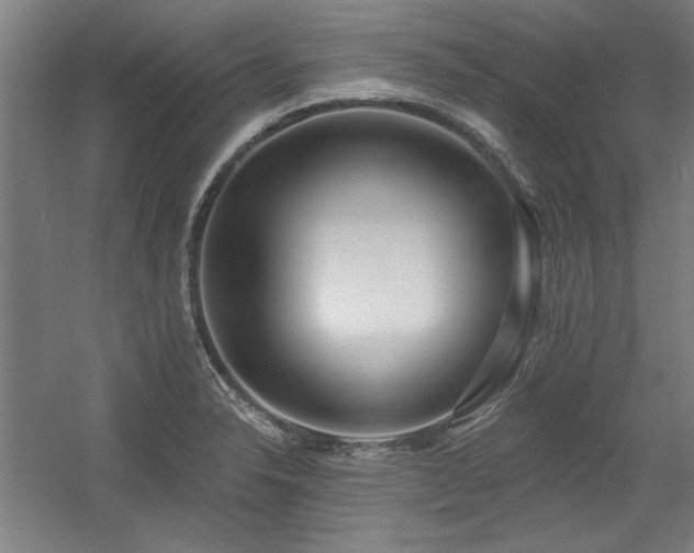 X0000056011326200508191251