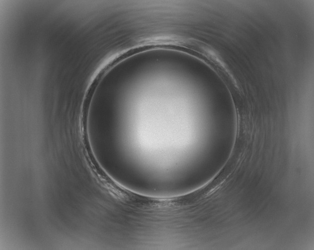 X0000056011328200508191251
