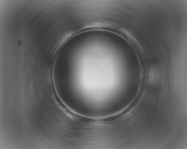 X0000056011329200508191251