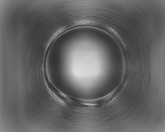 X0000056011330200508191251