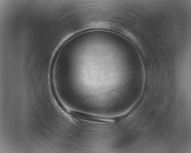 X0000056011331200508191251